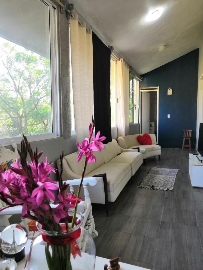 Montealban House Bed & Breakfast Oaxaca Exterior photo